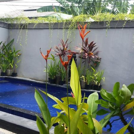 Star Bali Guest House 坎古 外观 照片