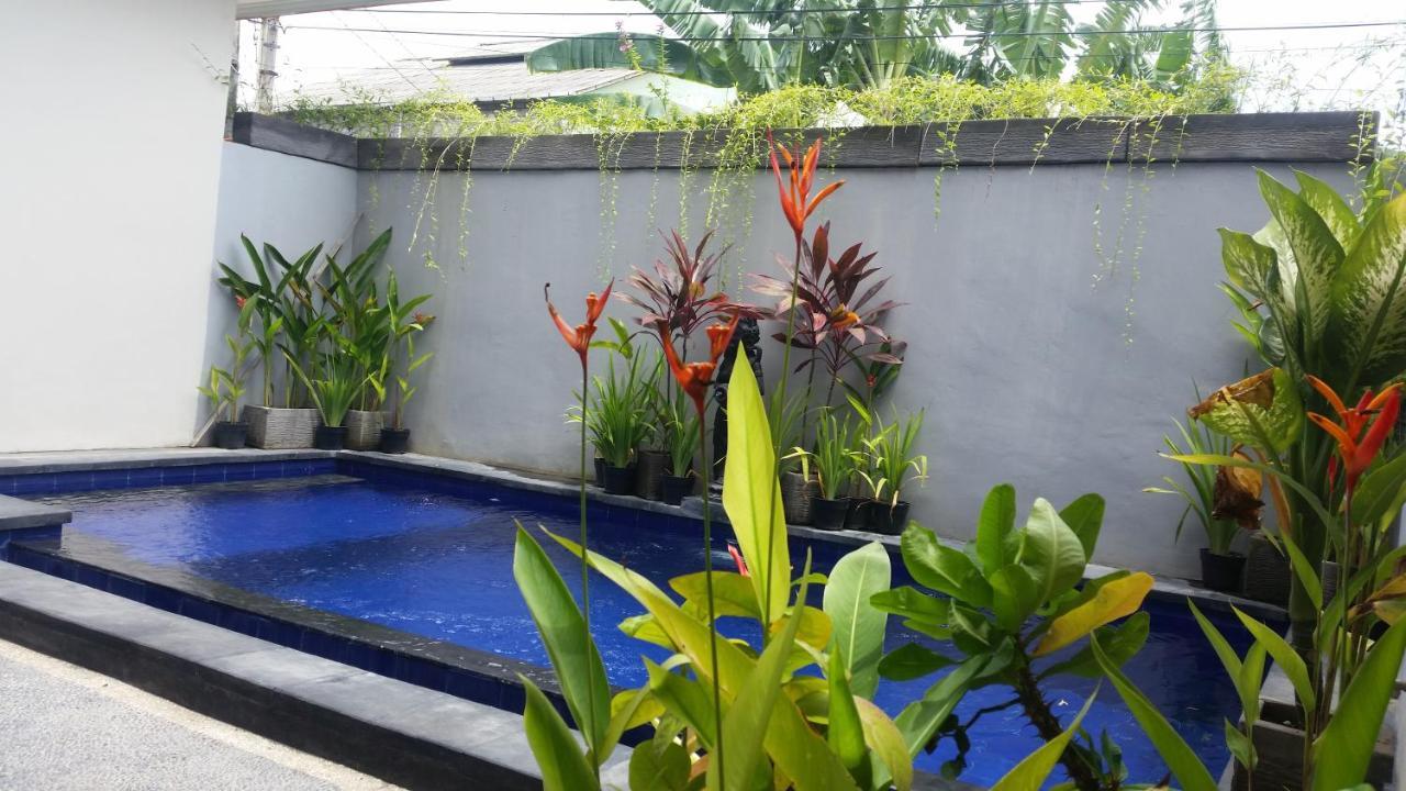 Star Bali Guest House 坎古 外观 照片